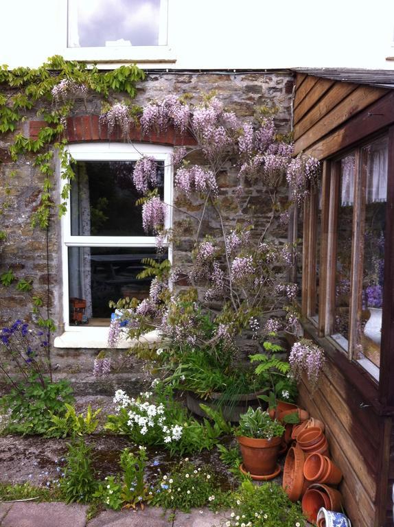Penpillick Vine Cottage المظهر الخارجي الصورة