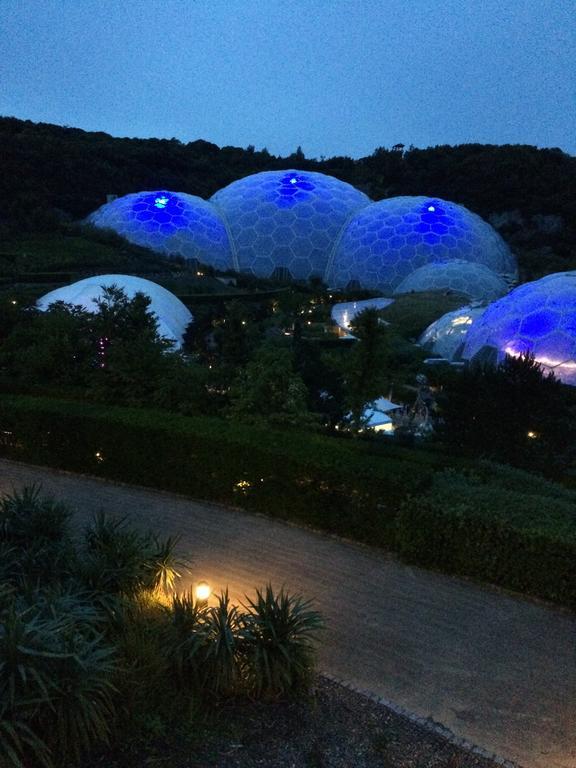 Penpillick Vine Cottage المظهر الخارجي الصورة