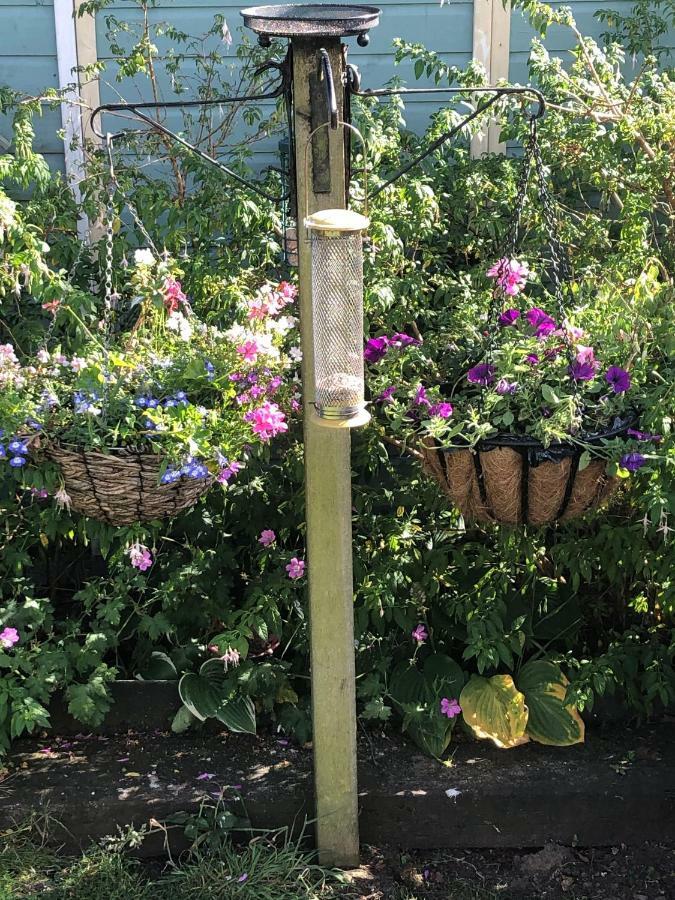 Penpillick Vine Cottage المظهر الخارجي الصورة